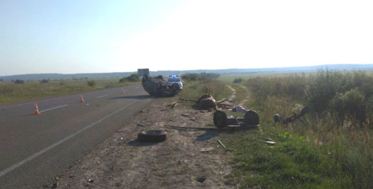 Смертльна ДТП на Рівненщині: загинув погонич підводи